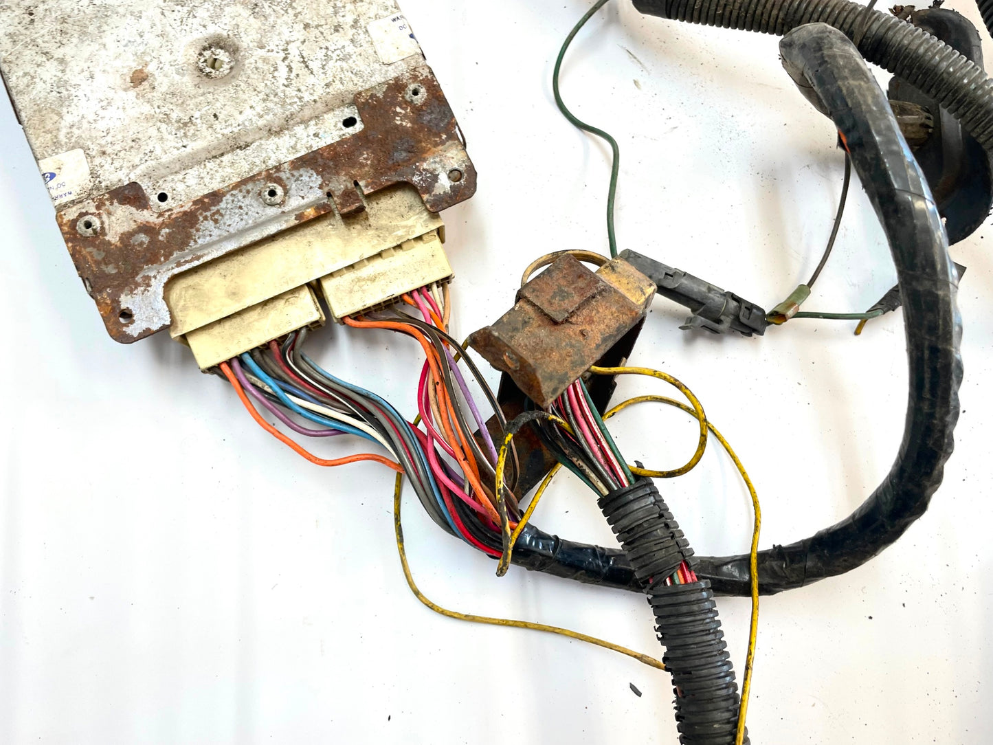 83 Jeep CJ 6 cylinder engine wire harness CJ7 CJ8 AMC wiring 4.2 258 FREE SHIP