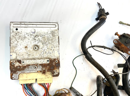 83 Jeep CJ 6 cylinder engine wire harness CJ7 CJ8 AMC wiring 4.2 258 FREE SHIP