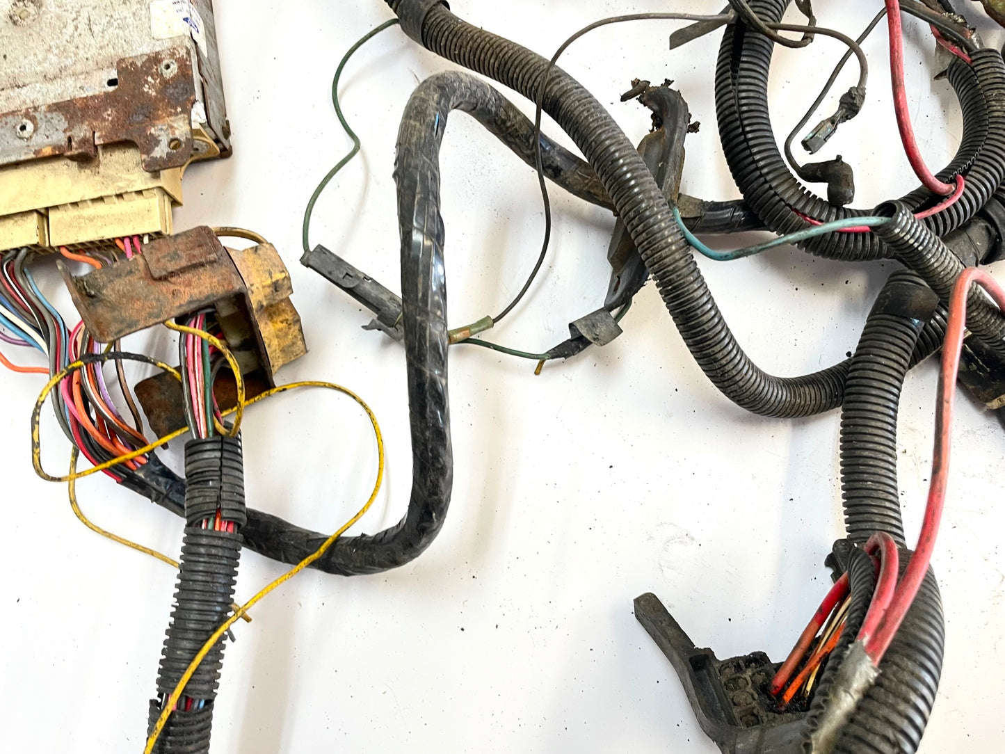 83 Jeep CJ 6 cylinder engine wire harness CJ7 CJ8 AMC wiring 4.2 258 FREE SHIP