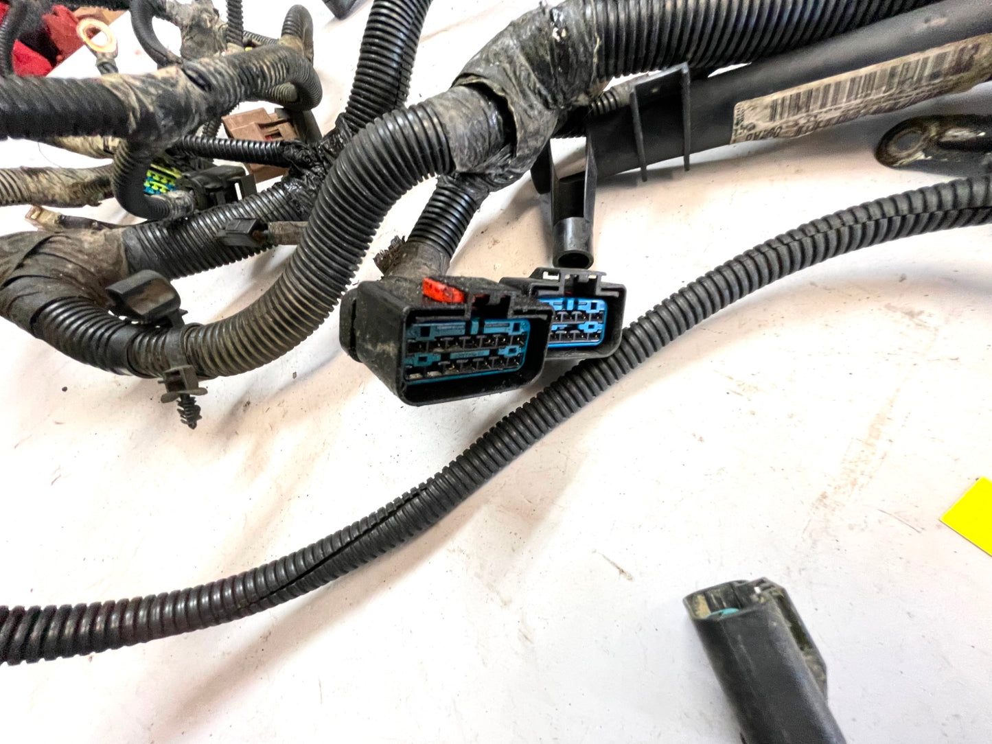 04 Jeep TJ Wrangler 2.4 Engine Wiring Harness motor wire 56048001AB