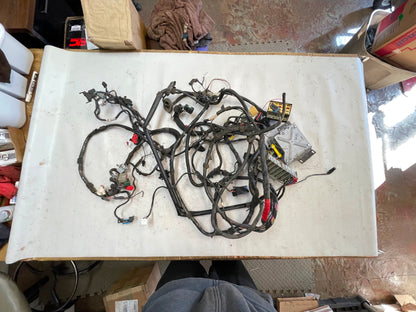 1998 Jeep TJ Wrangler Dash Wiring Harness wire P56009509 FREE SHIPPING