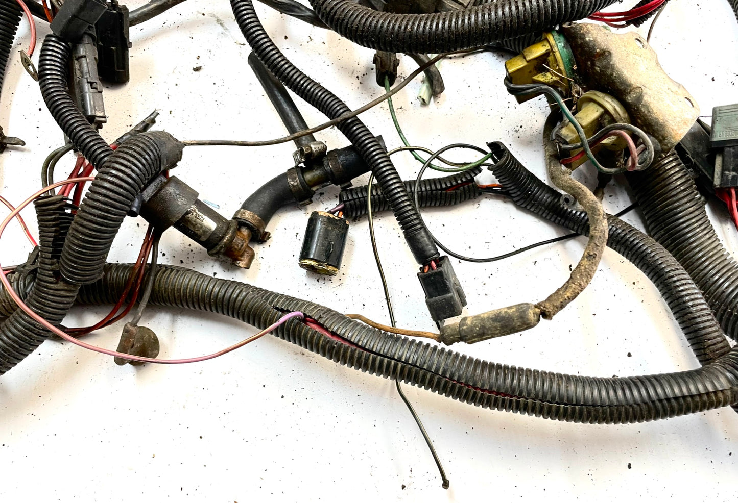 Jeep CJ 6 cylinder engine wiring harness 84-86 CJ7 CJ8 AMC wire 4.2 258 !!